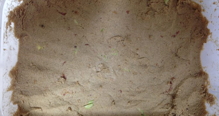 村長が作った糠床の写真