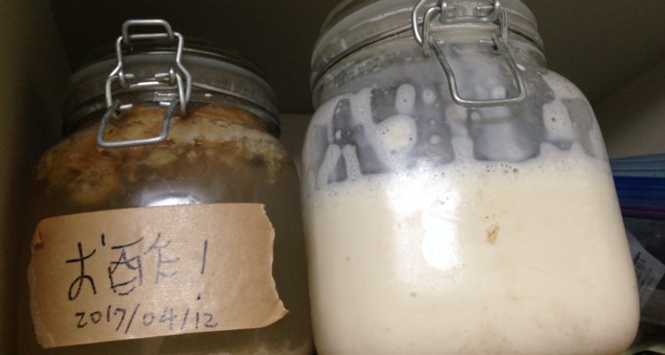 例のごとく保存食棚で発酵させます